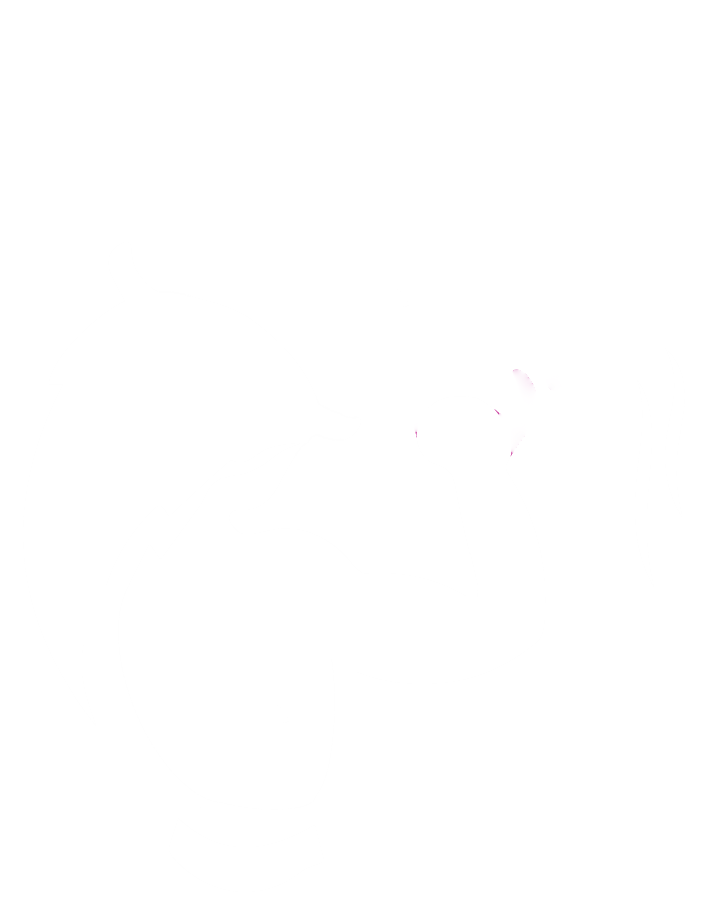 logo PHEnomen